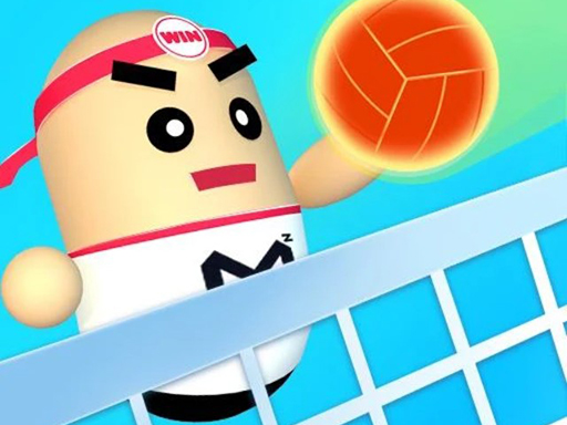 3D Amazing VolleyBall game cover